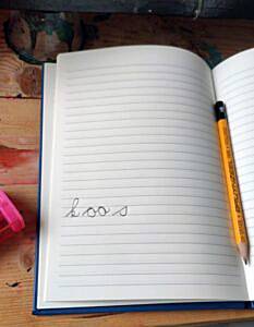 juiste koos 233x300 int