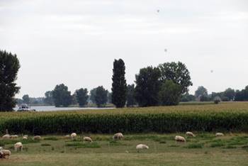 Land van Maas en Waal 350