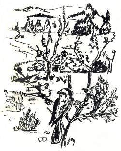 ik dicht van de zomer bewerkt 250x312 int