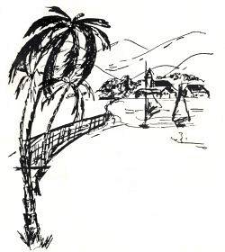 naar het zuiden 250x280 int