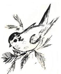 onze sla 250x299 int